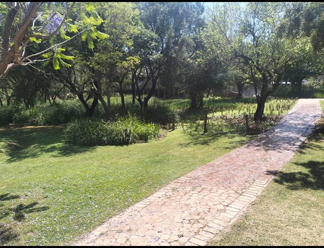16HA FARM FOR SALE IN ZOUTPANSDRIFT AH